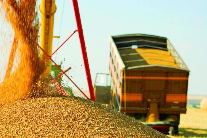 Созданный на Дону сервис Smartseeds приобрел зернотрейдер, подконтрольный Группе ВТБ 