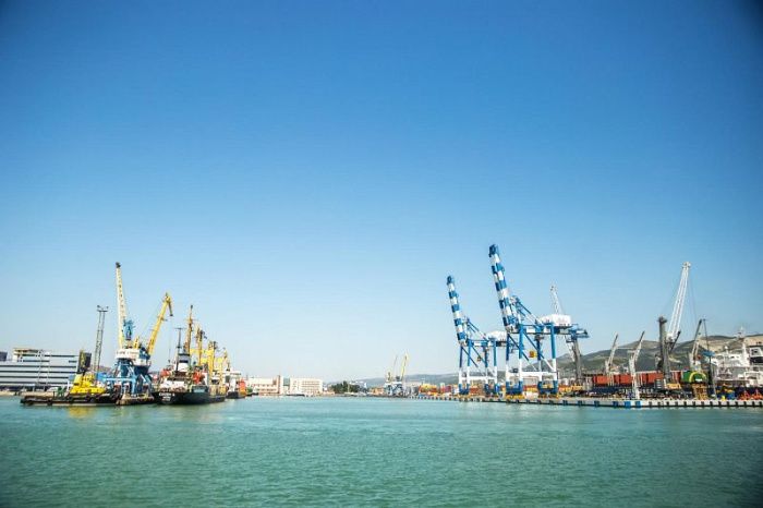 От Дона до Лимпопо: как компании Юга России завоевывают рынки Африки и Ближнего Востока