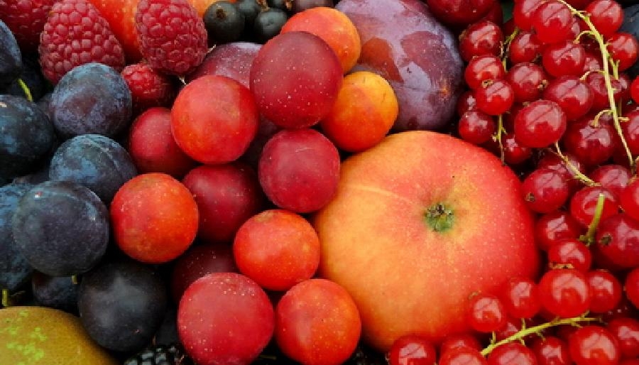 Губернатор: Кубань сможет заменить половину импорта плодовой продукции в масштабах страны