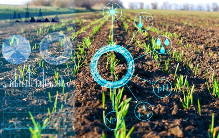 Агрохолдинг «СТЕПЬ» разработал цифровую систему планирования урожая