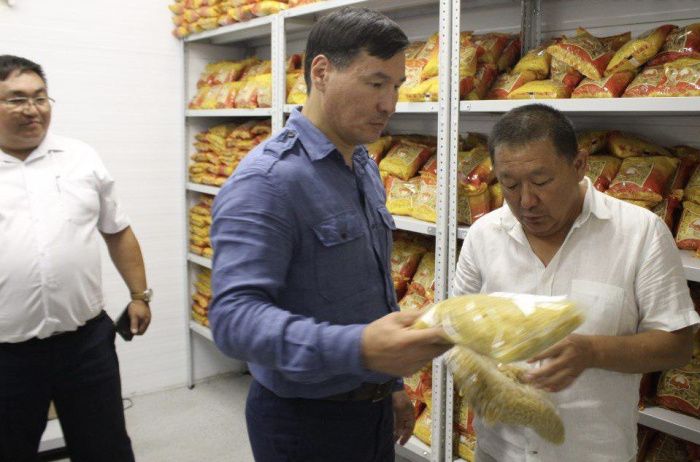 В Калмыкии запустили первое в регионе производство макарон