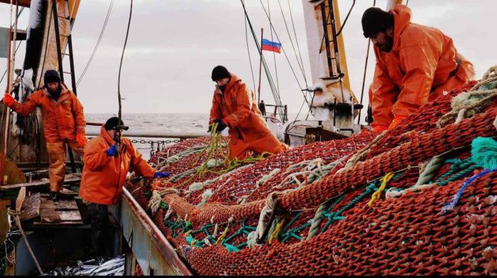 Вылов рыбы и креветок в Азовском море вырос почти на 3 тыс. тонн