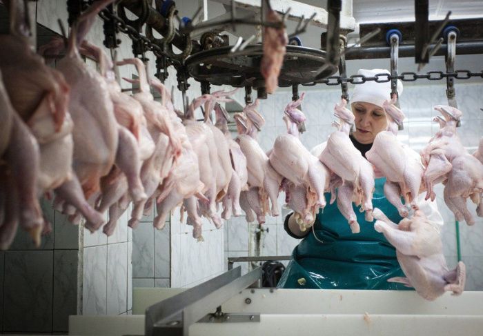 Ставропольские производители мяса птицы увеличили экспорт на 2%