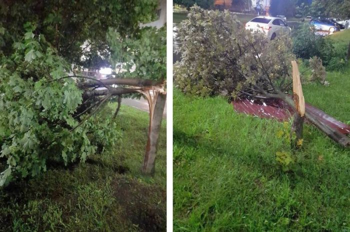 В Ингушетии ураган снес крыши более 20 соцобъектов и многоквартирных домов В Ингушетии ураган снес крыши более 20 соцобъектов и многоквартирных домов
