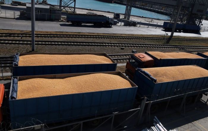 Ставрополье поставило на экспорт более 23 тысяч тонн зерна нового урожая