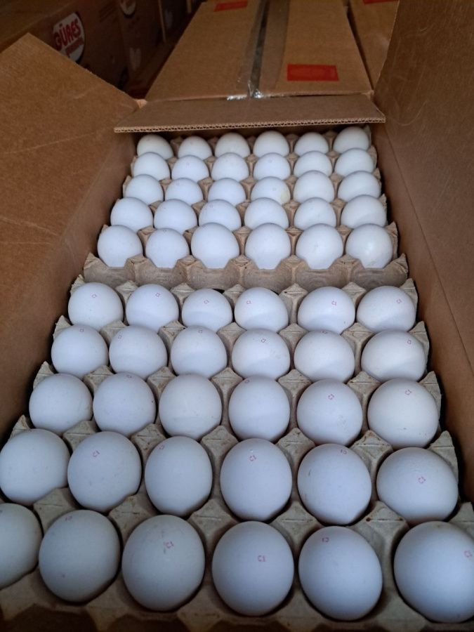В Дагестан ввезли 1,8 млн штук яиц из Турции и Азербайджана