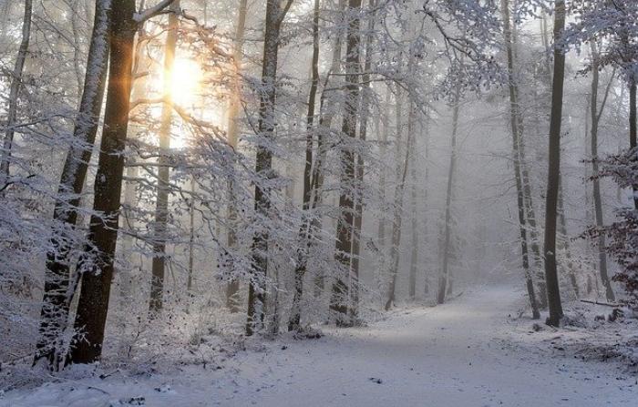 Метеорологи допустили аномальное похолодание в Ростове до -20 градусов