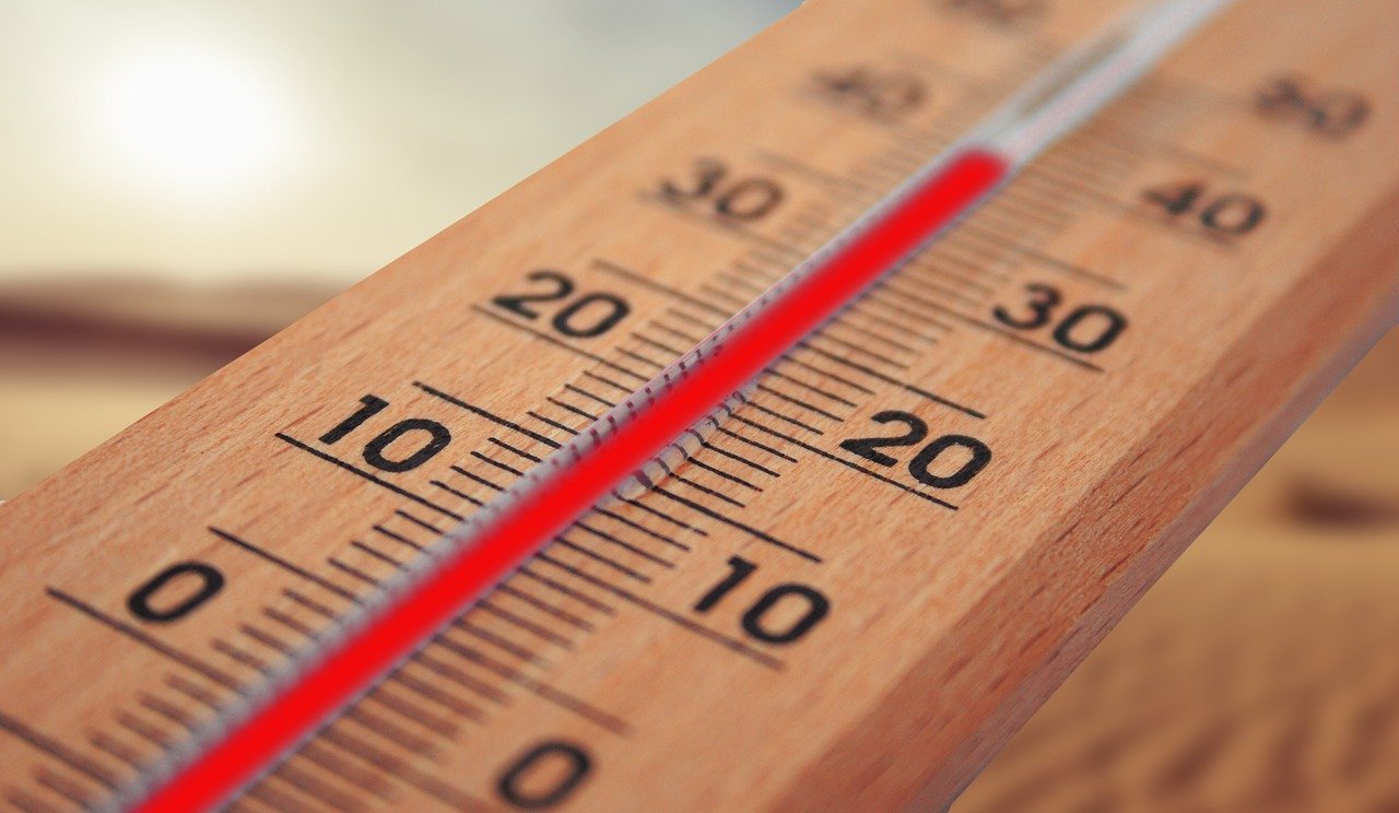 В Ростовской области на этой неделе ожидается аномальная жара до 39 градусов