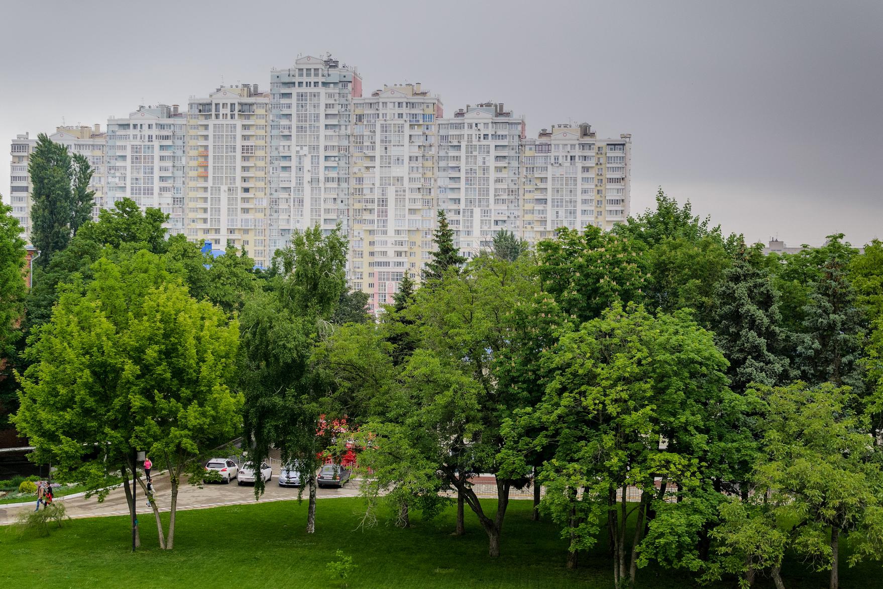 Краснодар-сад: общественники и власти проектируют «зеленый каркас» города