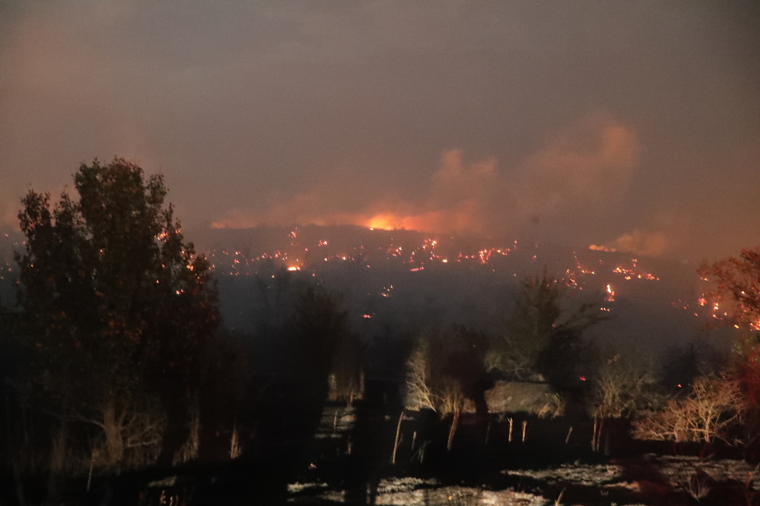 На территории Ростовской области за сутки зарегистрировано свыше 200 пожаров