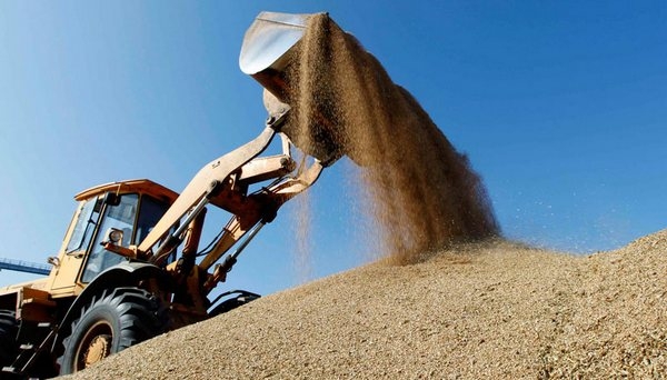 В список крупнейших российских экспортеров зерна попал ростовский торговый дом «Риф»