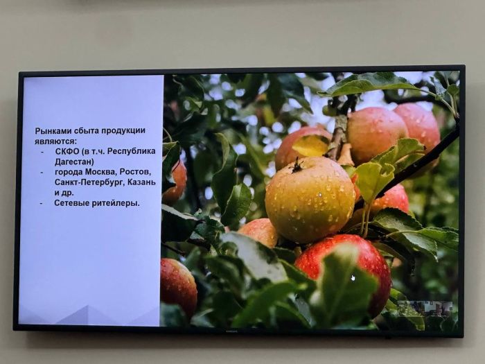 В Дербентском районе Дагестана построят фруктохранилище и заложат новые сады