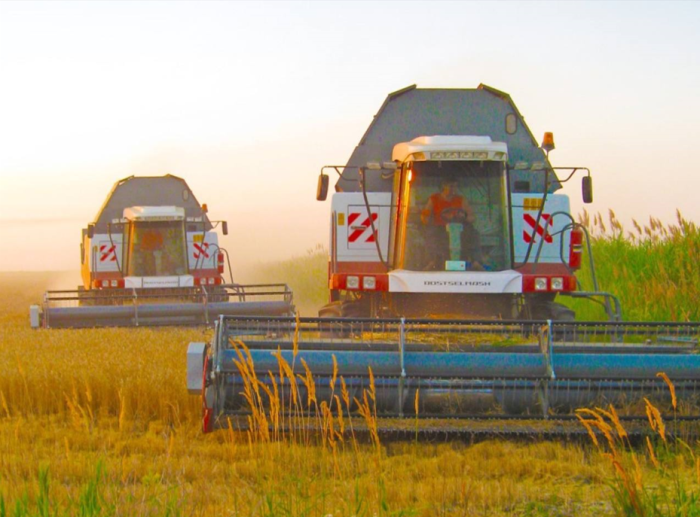 В Астрахани построят комплекс по выращиванию и переработке риса