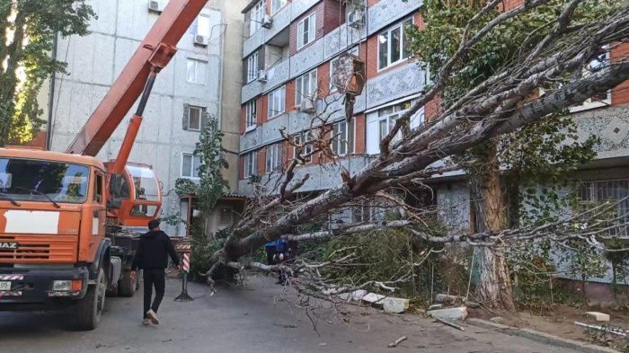 В Дагестане из-за урагана жители нескольких городов и сел остались без электричества
