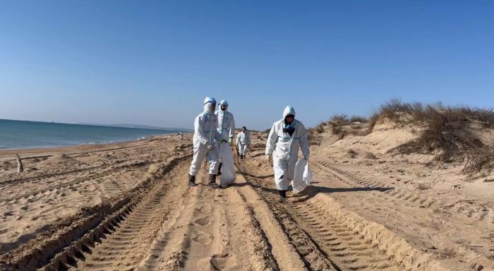 На трех участках в Анапе обнаружили новые выбросы мазута