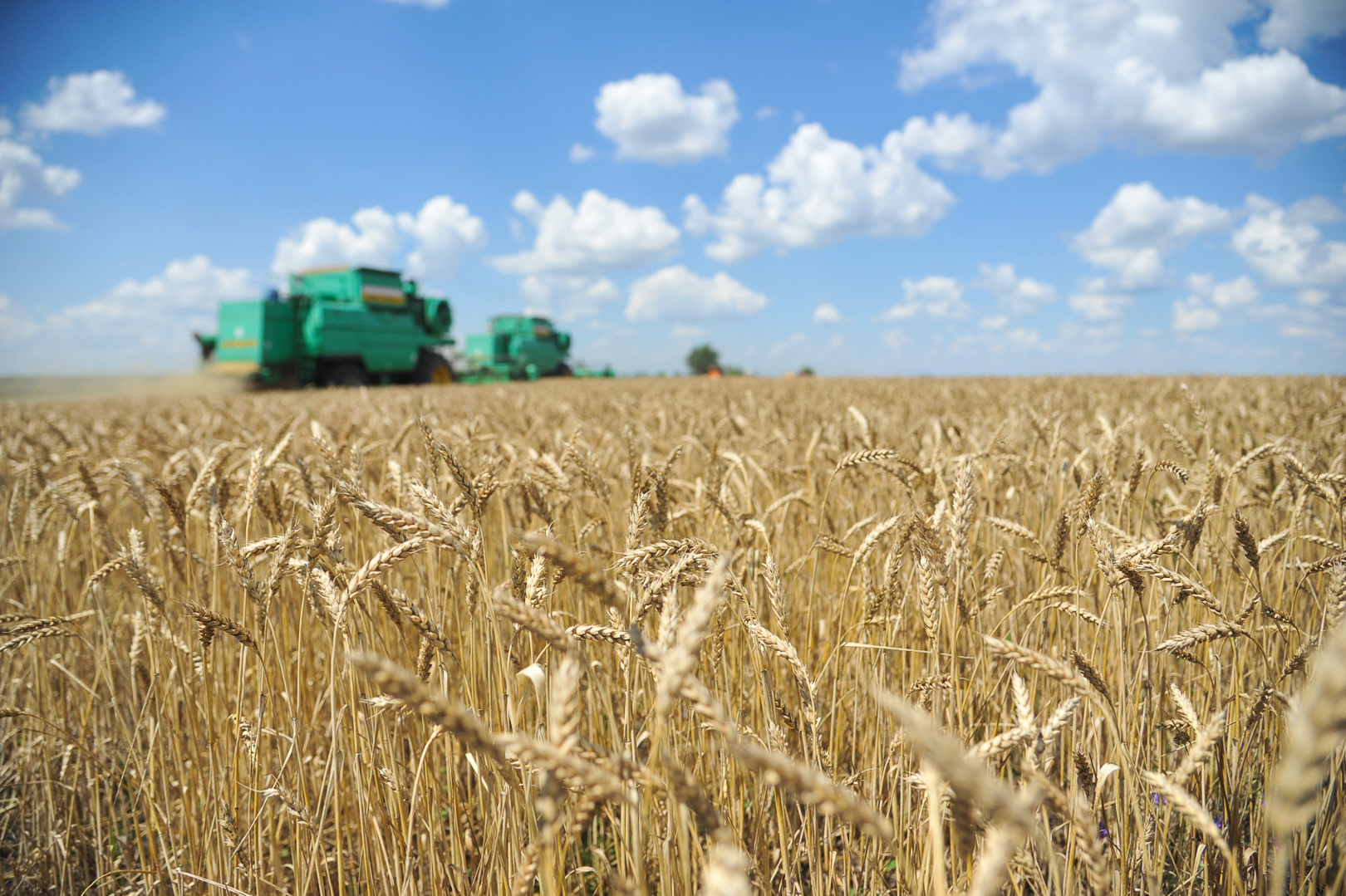 Волгоградская область экспортировала более 1 млн тонн зерна