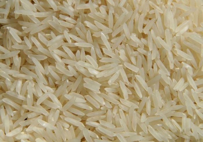 В Краснодарском крае в 2023 году планируют собрать около 600 тысяч тонн риса