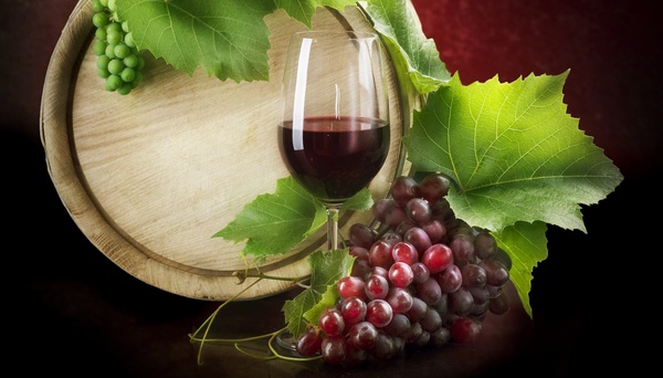 В Ростовской области создадут винный кластер