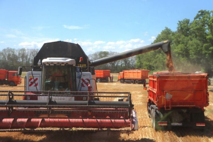 Аграрии Кубани собрали около 11,9 миллиона тонн зерна нового урожая