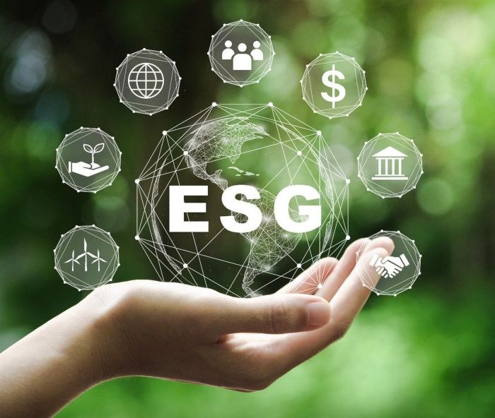 Прагматика ESG-повестки: как Юг России оказался центром устойчивого мышления бизнеса