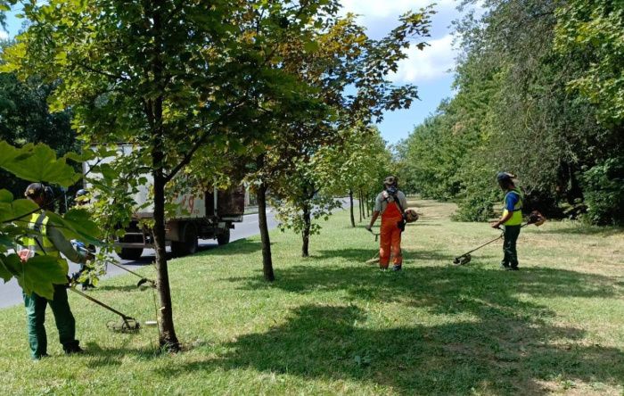 Вокруг Ростова-на-Дону создадут «зеленый пояс» защитных лесов Вокруг Ростова-на-Дону создадут «зеленый пояс» защитных лесов