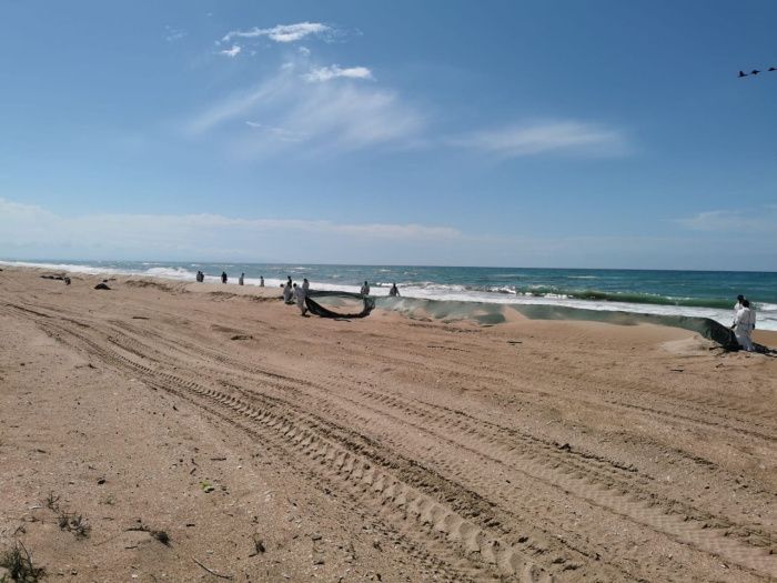 Побережье Анапы и Темрюкского района остается непригодным для купания