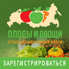 Ежегодный международный форум «Плоды и овощи России 2020» состоится в Краснодаре
