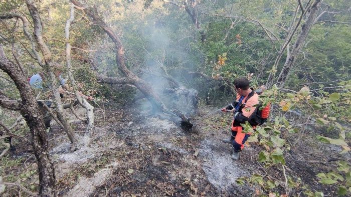 В Геленджике локализовали лесной пожар