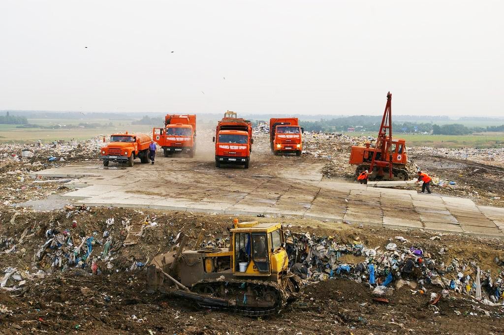 Кубань и Ростовская область попали в топ-5 самых «мусорящих» регионов страны