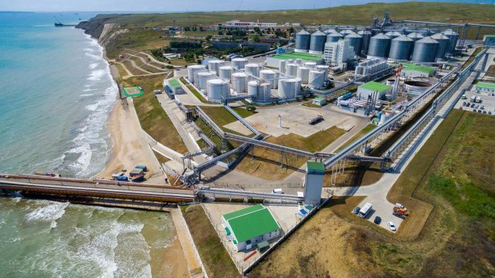 Портово-индустриальный парк «Тамани» нарастит мощность грузооборота до 100 млн тонн к 2028 году