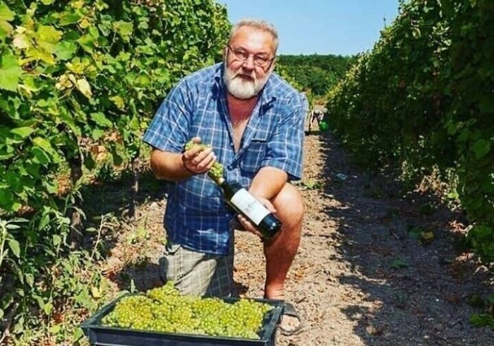 Отели не для фермеров: малые винодельни требуют пересмотреть законопроект о гостиницах на виноградниках