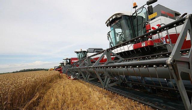 Краснодарский край подготовит комплексную программу поддержки сельхозпроизводителей