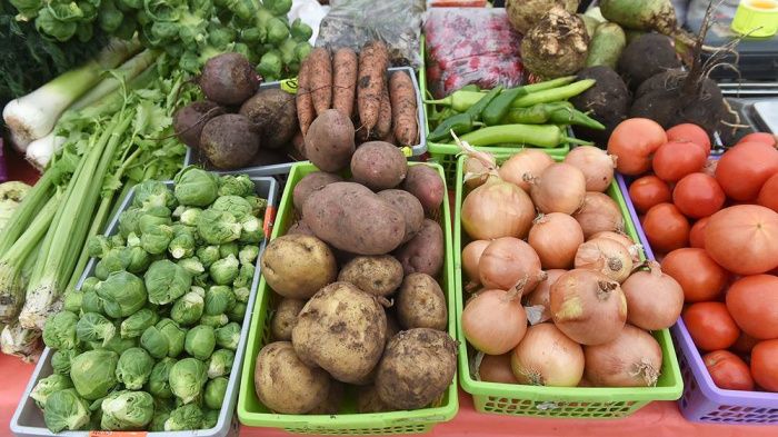 Аграрии Ставрополья приступили к уборке овощей «борщевого набора»