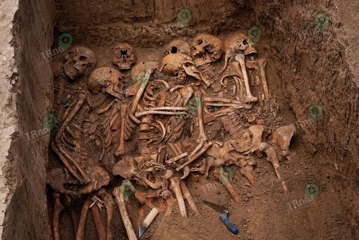 В центре Ростова-на-Дону археологи обнаружили крупнейшее чумное кладбище 18 века