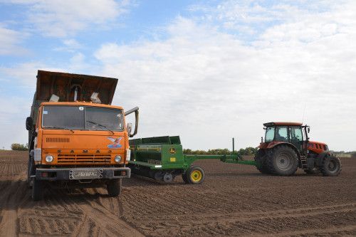 Аграриям Дона рост урожайности поздних и масличных культур сулит новые рекорды