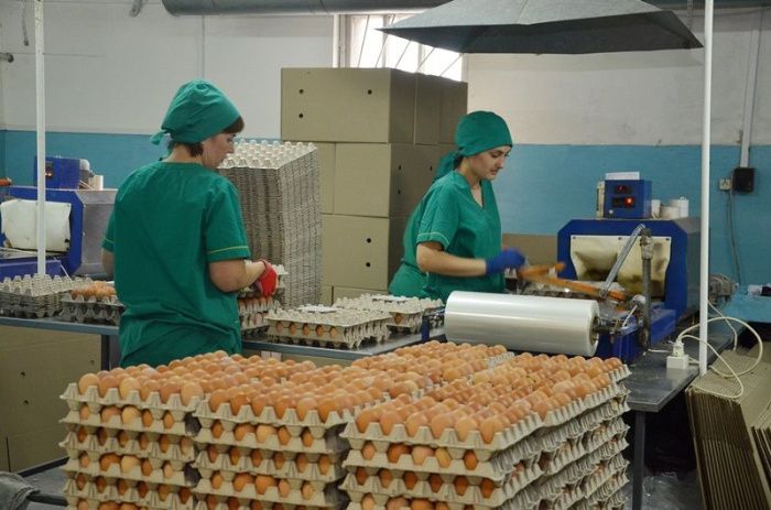 Накопленная усталость: производители объяснили, почему подорожали яйца на Юге России 