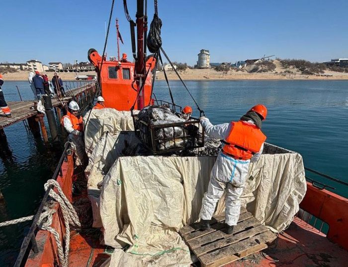 Морспасслужба внедрила новый механизированный метод сбора мазута со дна Черного моря