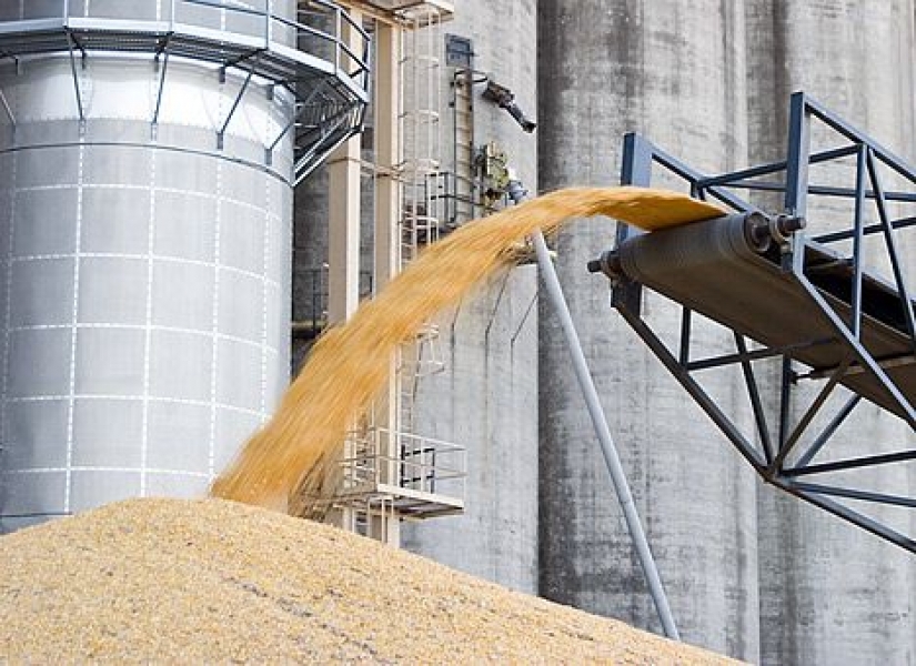 Крупнейший зернотрейдер «Основа» будет ликвидирован