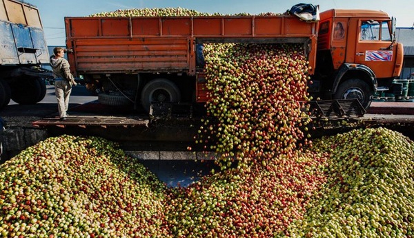 В Адыгее построят два фруктохранилища за 4,8 млрд рублей