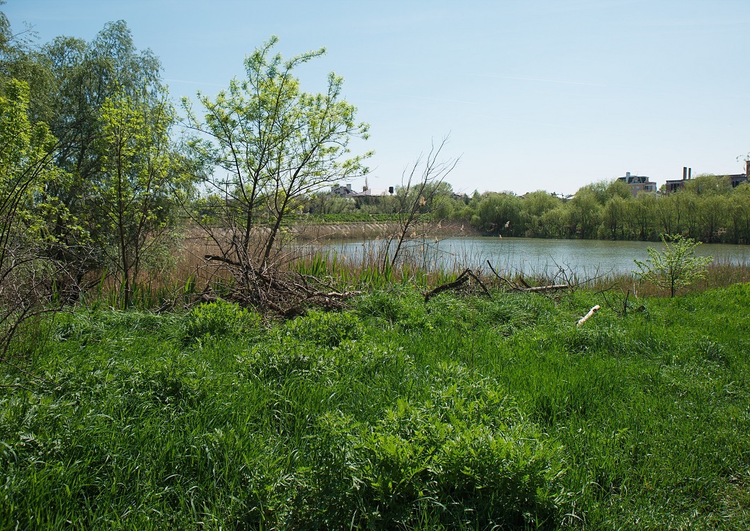 Река Темерник в Ростове-на-Дону может получить статус природного парка