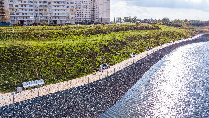 Ученые ЮФУ: в Суворовском жилом районе Ростова находится уникальный растительный мир