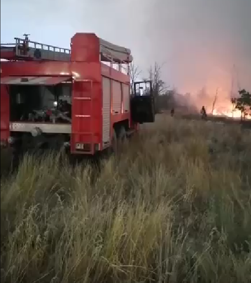 На востоке Ростовской области горит лес на площади более 117 гектаров