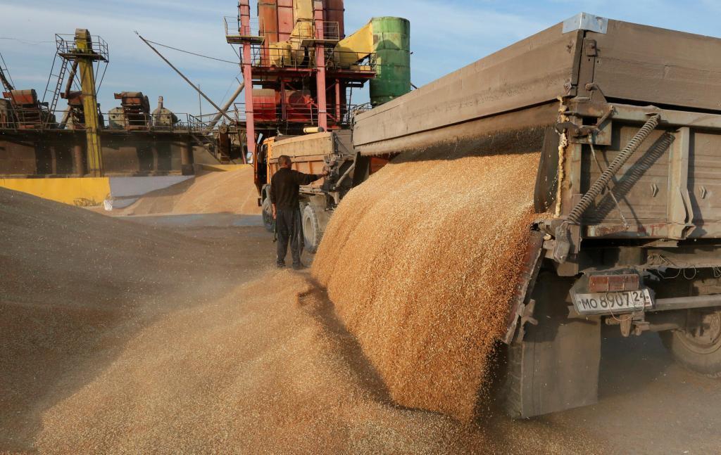 Ростовская область станет центром российской биржевой торговли зерном