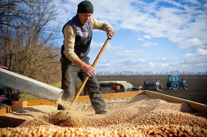 В 2022 году в Краснодарском крае произвели сельхозпродукции на 660 млрд рублей