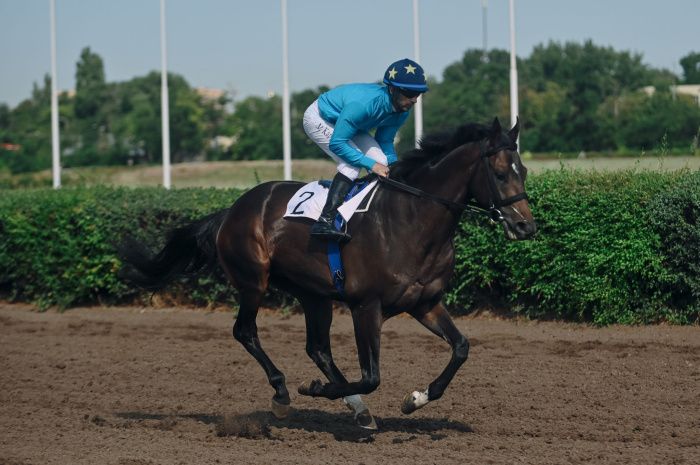 Прокуратура нашла нарушения в отказе признания ростовского ипподрома ОКН 