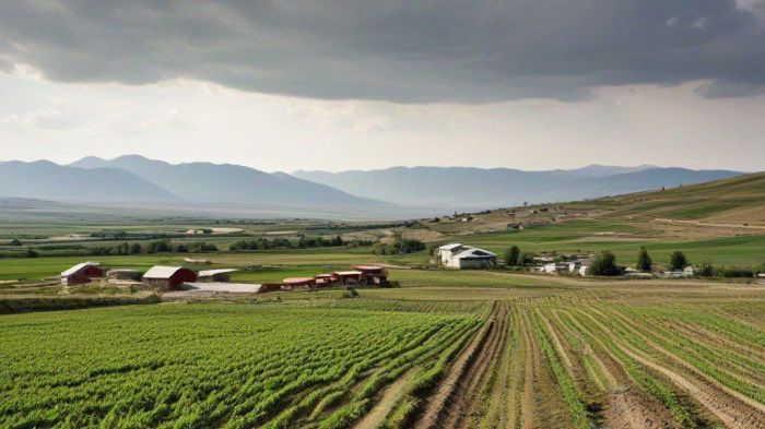 Аграрии Дагестана получат льготные микрозаймы на сезонные работы