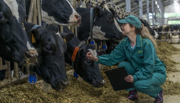 Агрохолдинг «Кубань»  удвоил чистую прибыль в 2015 году