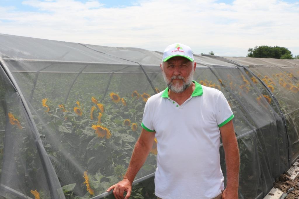 «Национальный чемпион» из Краснодара вложит 200 млн в семенной завод