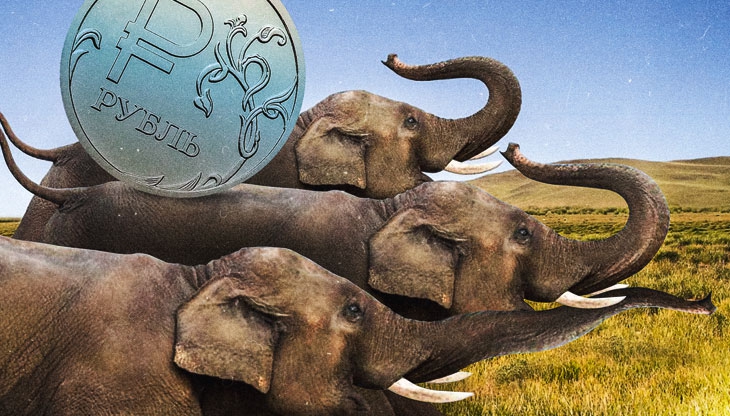 Слоновьи бега: главное в инвестициях юга России