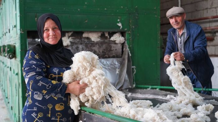 Не против шерсти: почему традиционная для Дагестана отрасль не выживет без господдержки